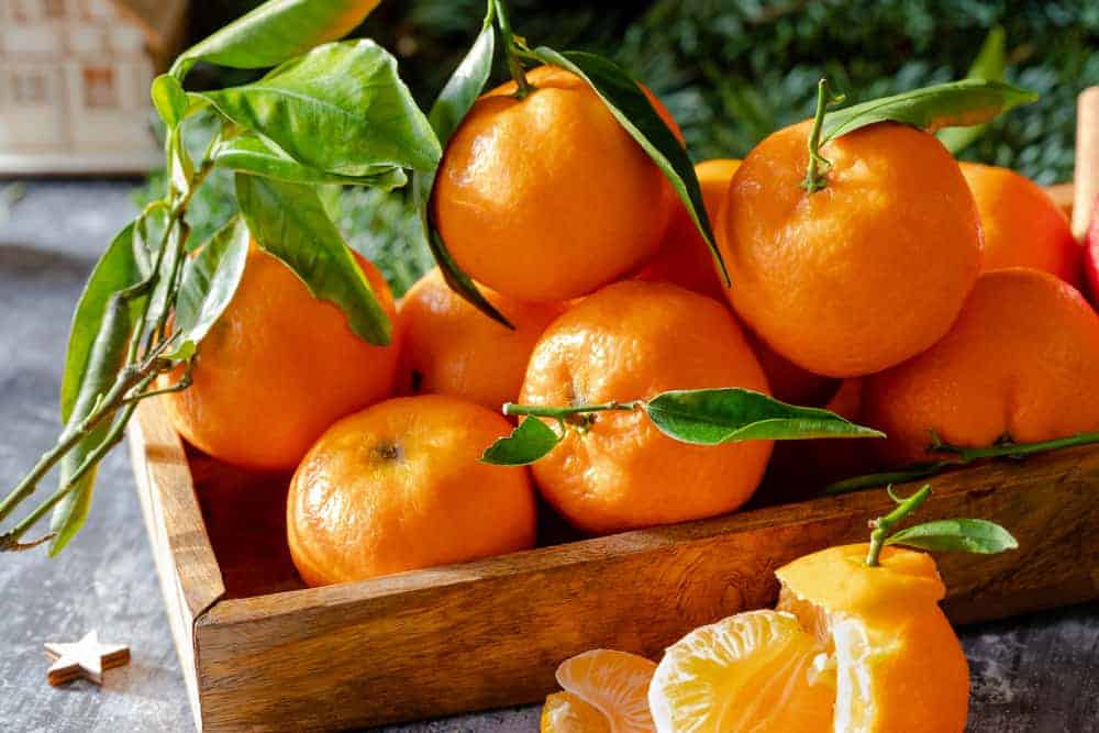 Citrus fruits - health and weight loss properties 3 Mandarins