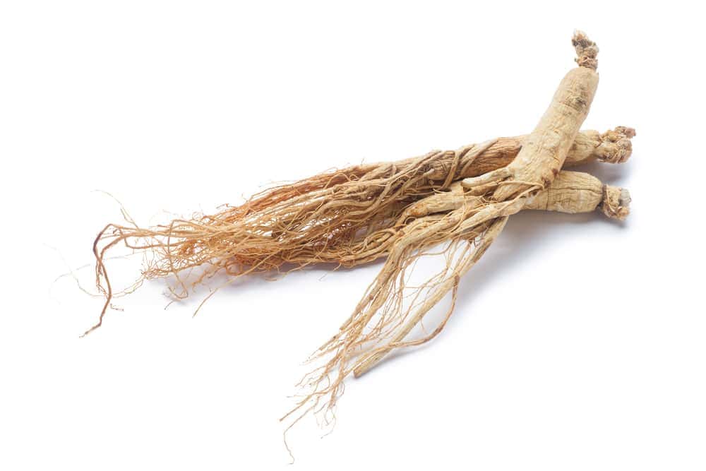 Andropause - causes and ways to relieve symptoms of male menopause 7 Ginseng root