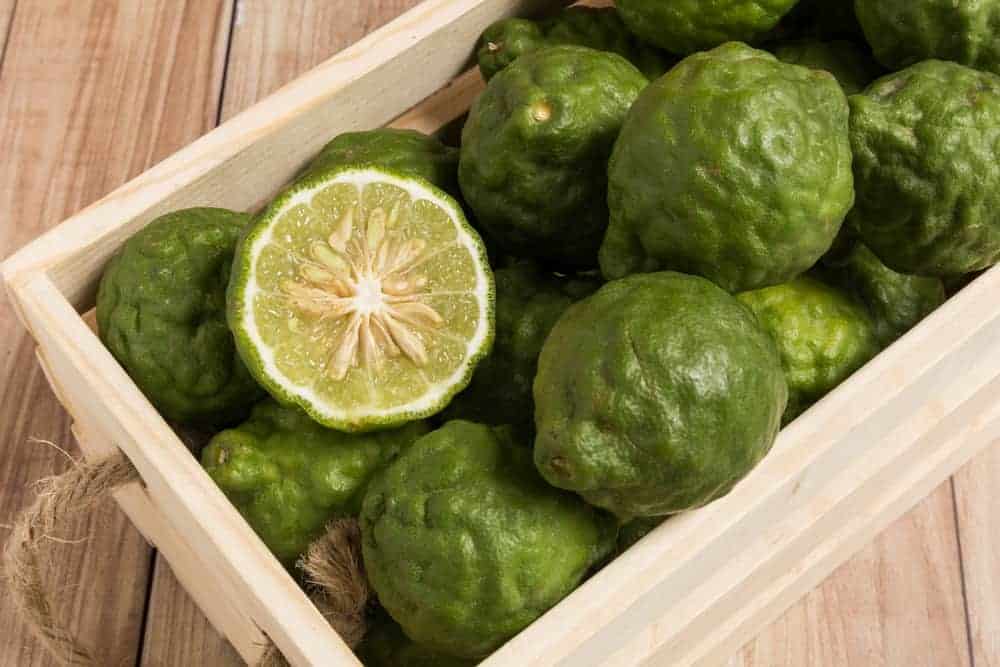 Citrus fruits - health and weight loss properties 7 Bergamot