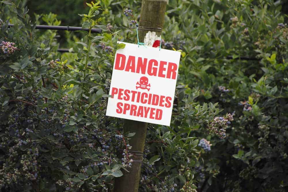  Pesticide contamination