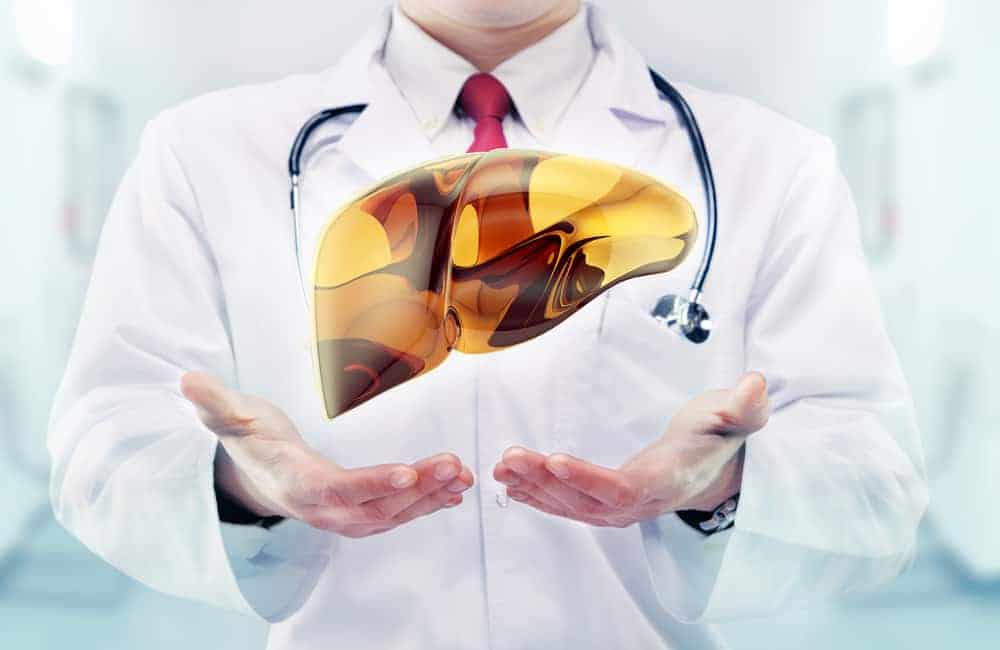Phospholipids - what are they and their importance for liver health? 2 liver doctor