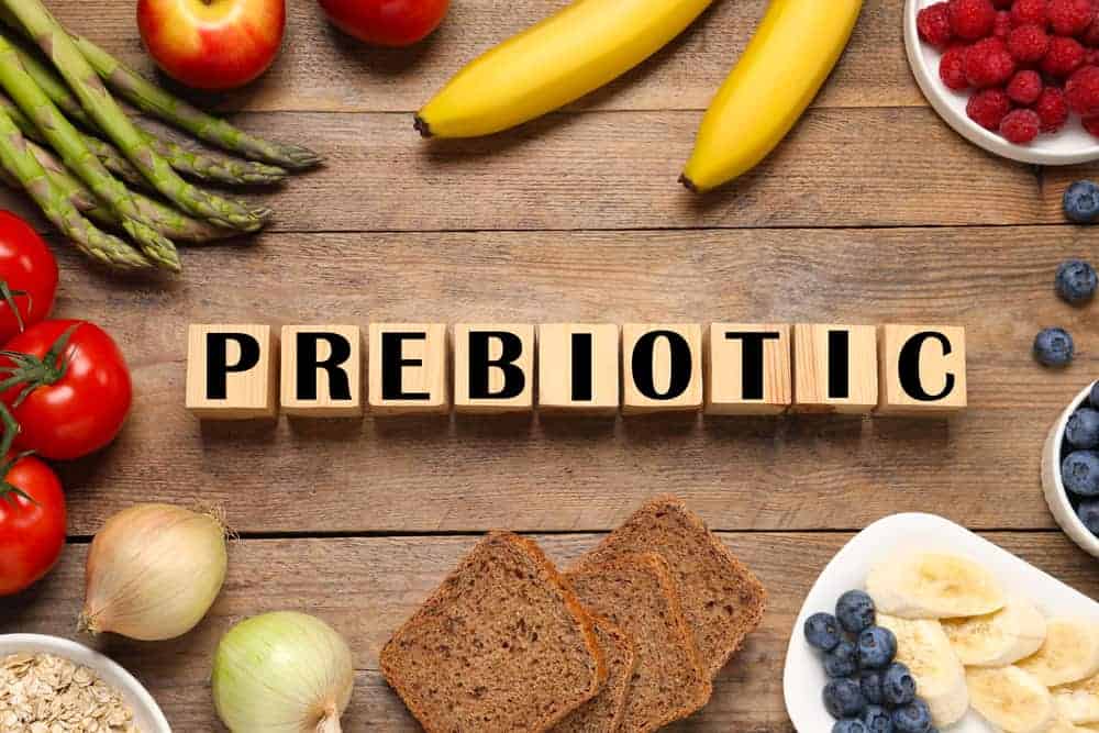  Prebiotics