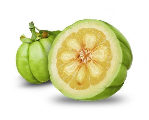 Keto Probiotix - a dietary supplement that supports weight loss 6 garcinia cambogia
