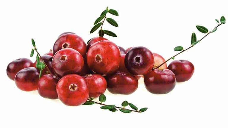  cranberry