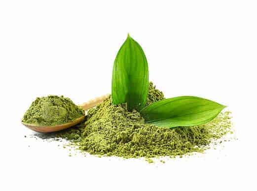 Keto Probiotix - a dietary supplement that supports weight loss 7 green tea