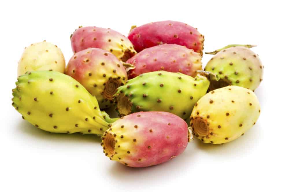  Prickly pear fruit